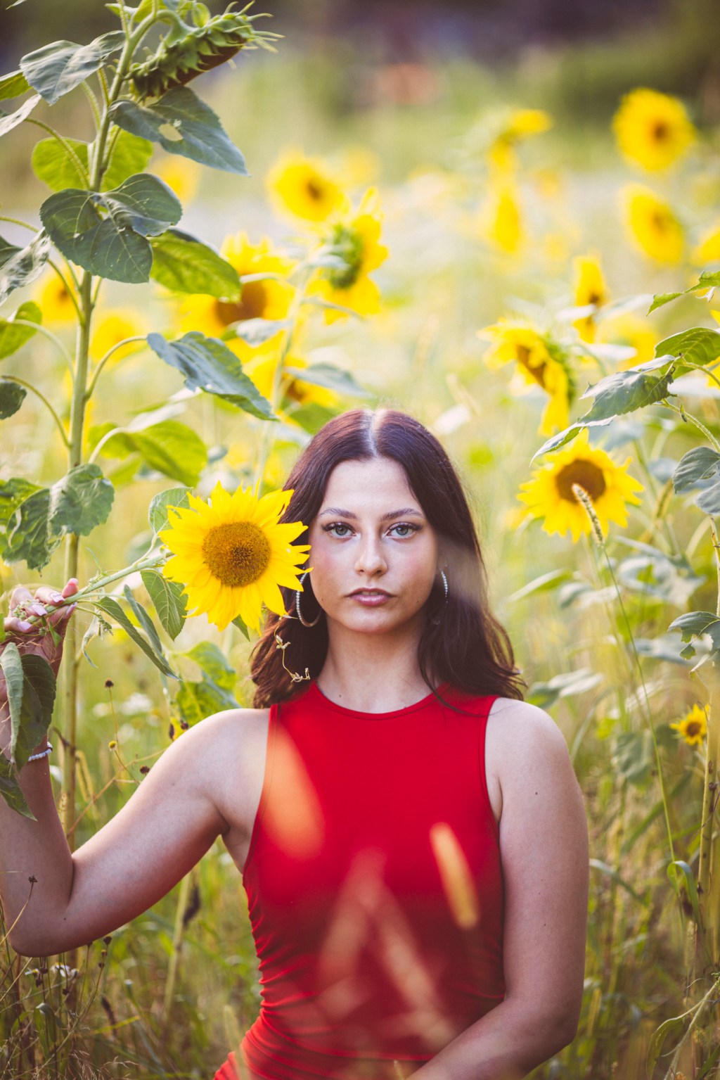 Słoneczniki i paprocie.            Sesja kobieca&nbsp;Alicji